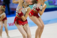 © ВФЭГ (RFAG)