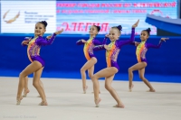 © ВФЭГ (RFAG)