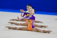 © ВФЭГ (RFAG)