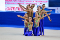 © ВФЭГ (RFAG)