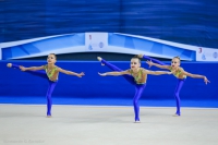 © ВФЭГ (RFAG)