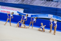 © ВФЭГ (RFAG)