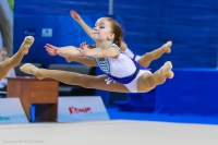 © ВФЭГ (RFAG)