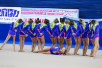© ВФЭГ (RFAG)
