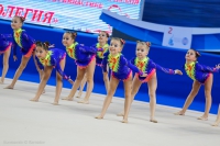 © ВФЭГ (RFAG)