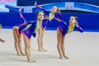 © ВФЭГ (RFAG)