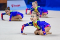 © ВФЭГ (RFAG)