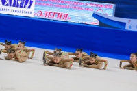 © ВФЭГ (RFAG)