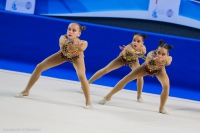 © ВФЭГ (RFAG)