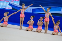 © ВФЭГ (RFAG)