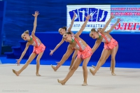© ВФЭГ (RFAG)