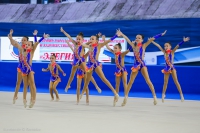 © ВФЭГ (RFAG)