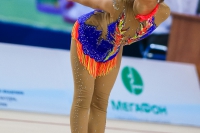 © ВФЭГ (RFAG)
