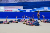 © ВФЭГ (RFAG)