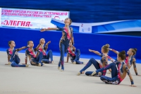 © ВФЭГ (RFAG)
