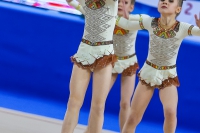 © ВФЭГ (RFAG)