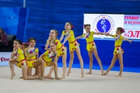 © ВФЭГ (RFAG)