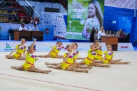 © ВФЭГ (RFAG)