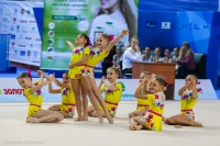 © ВФЭГ (RFAG)