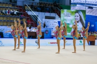 © ВФЭГ (RFAG)
