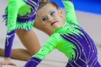 © ВФЭГ (RFAG)