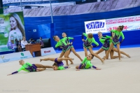 © ВФЭГ (RFAG)