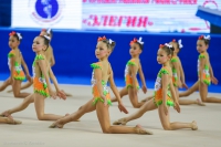 © ВФЭГ (RFAG)