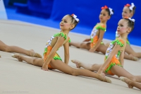 © ВФЭГ (RFAG)
