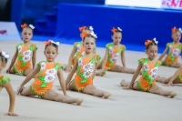 © ВФЭГ (RFAG)
