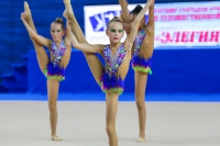 © ВФЭГ (RFAG)
