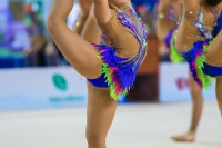 © ВФЭГ (RFAG)