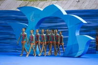 © ВФЭГ (RFAG)