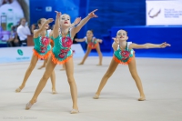 © ВФЭГ (RFAG)