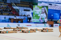 © ВФЭГ (RFAG)