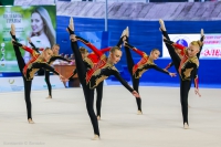 © ВФЭГ (RFAG)
