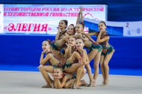 © ВФЭГ (RFAG)