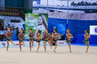 © ВФЭГ (RFAG)