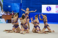 © ВФЭГ (RFAG)