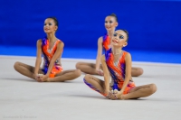 © ВФЭГ (RFAG)