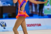 © ВФЭГ (RFAG)
