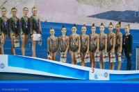 © ВФЭГ (RFAG)