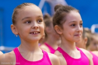 © ВФЭГ (RFAG)