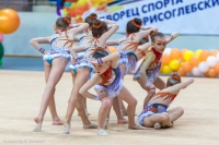 © ВФЭГ (RFAG)