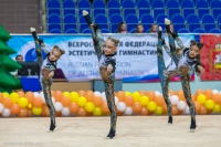 © ВФЭГ (RFAG)