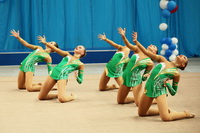 © ВФЭГ (RFAG)