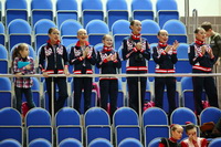 © ВФЭГ (RFAG)