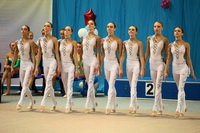 © ВФЭГ (RFAG)