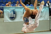 © ВФЭГ (RFAG)