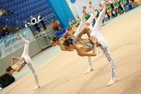 © ВФЭГ (RFAG)