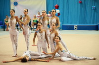 © ВФЭГ (RFAG)